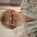 Lindy's profile picture