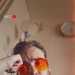hungfun's profile picture