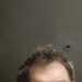 Bingleyphil's profile picture