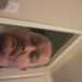 Gloucesterboy's profile picture
