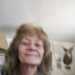 Mary addis's profile picture