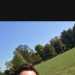 Dan's profile picture