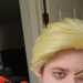 EnigmaticBookworm's profile picture