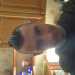 Gav545's profile picture