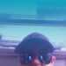 Danny's profile picture