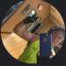 Peckbraddy 's profile picture