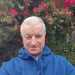 Zsolt's profile picture
