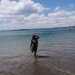 MaidinCor6444's profile picture