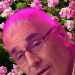 Mal's profile picture