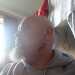 Porks's profile picture