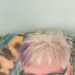looking for sex is LoyalBeauty85bea4 , 68 from from Invercargill