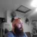 Brad's profile picture