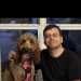 Josh's profile picture