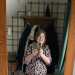 PatientTraveler's profile picture
