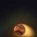 Grim Fandango 's profile picture