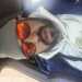 SillyGentleman's profile picture