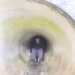 Joe ninety 's profile picture