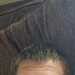 Ccrushim's profile picture