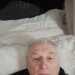 Rob the bob's profile picture