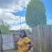 Aneesa's profile picture