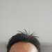 Lonestonerseeking's profile picture