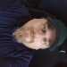 Jeff's profile picture