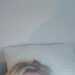 gee's profile picture