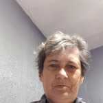 Lynette's profile picture
