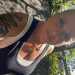 Belinda's profile picture