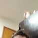 SweetEnthusiast's profile picture