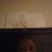 SympatheticPhoto4bcb's profile picture