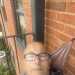 Duncan's profile picture