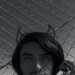 Useless21's profile picture