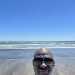 Cephas77's profile picture