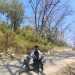 Annu's profile picture