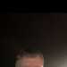 Dave's profile picture