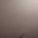 Hopefu's profile picture