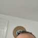 PerryG's profile picture