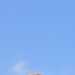 Lkg4you's profile picture