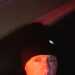 Mike Angelo 's profile picture