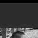 Barno 's profile picture