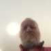 colinspa532's profile picture