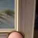 crzyshrk's profile picture