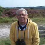 dave's profile picture