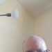 Paddyboy's profile picture