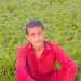 Anayatul's profile picture