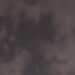 Tudthumper's profile picture