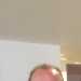 Steveire's profile picture