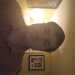 Jaradv's profile picture