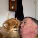 STEVIEK's profile picture